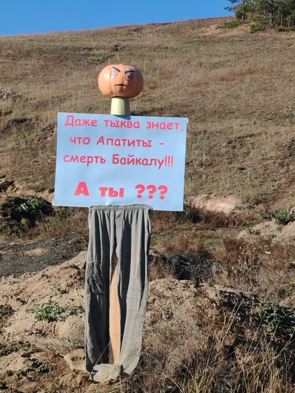 Жители бурятского села вышли на пикет, выражая протест против добычи апатитов рядом с домами через чучела из овощей.