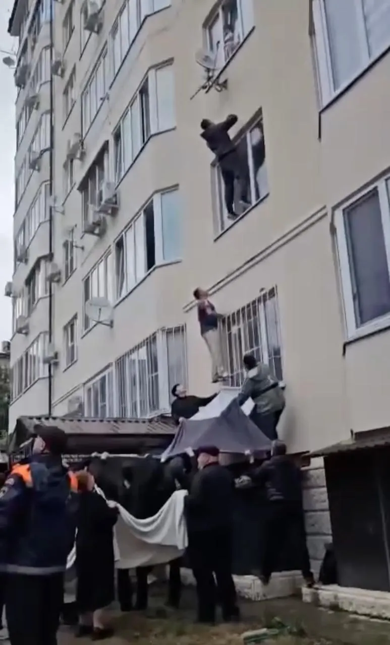Сюжеты о природной охране, технологиях языков и случаях помощи в повседневной жизни.