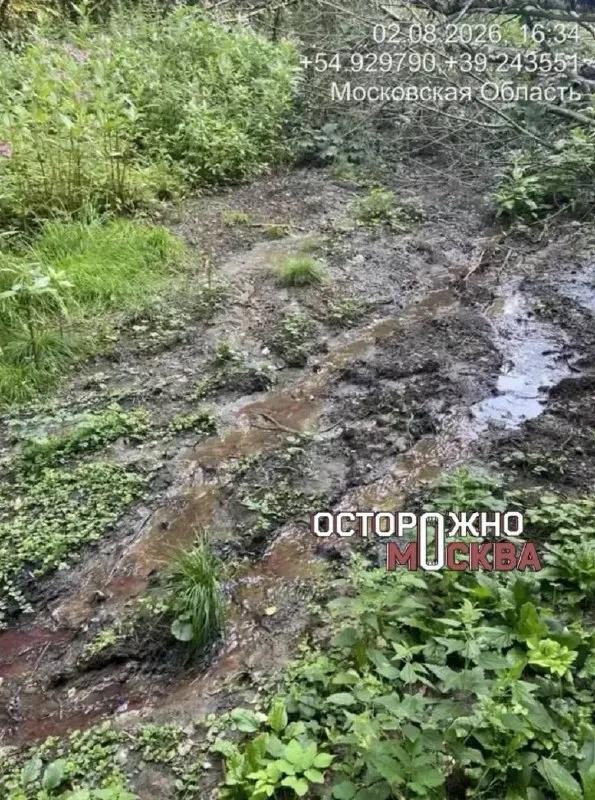 Жители деревни под Луховицами сообщают о неприятном запахе из озера и связывают его с возможными сбросами на предприятии. Власти проводят проверки и анализы воды.