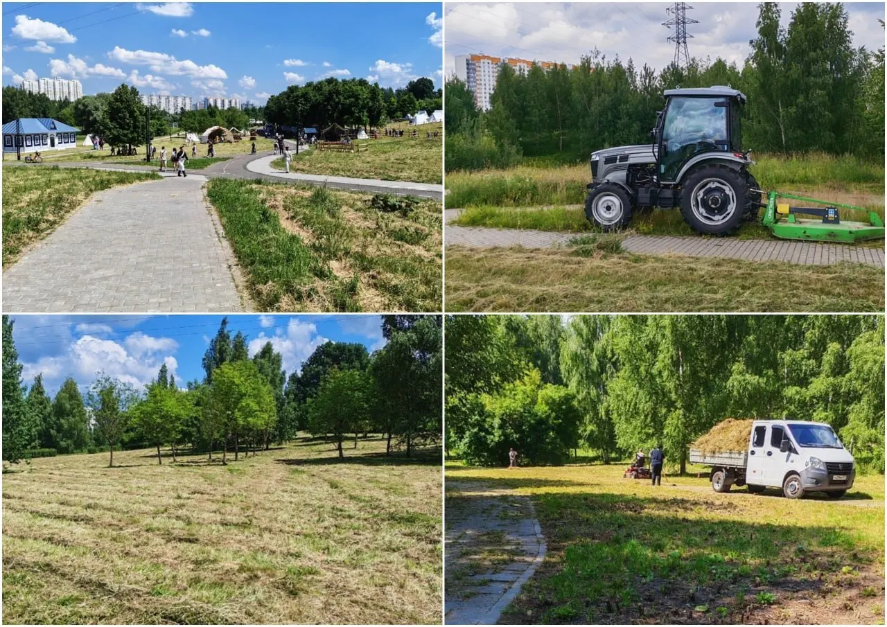 В Митинском парке разнотравные луга ранее считали газонами; проверка выявила нарушения, прокуратура потребовала вернуть часть разнотравья.