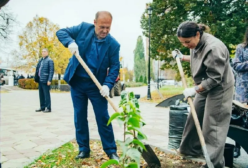 В сквере «Городские ряды» появились новые саженцы, однако тема озеленения вызывает вопросы.