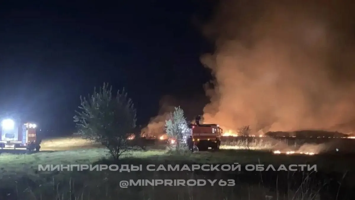 Пожар под Самарой ликвидирован на площади 2 гектара. В ликвидации приняли участие 14 огнеборцев и добровольцы; ущерба нет.