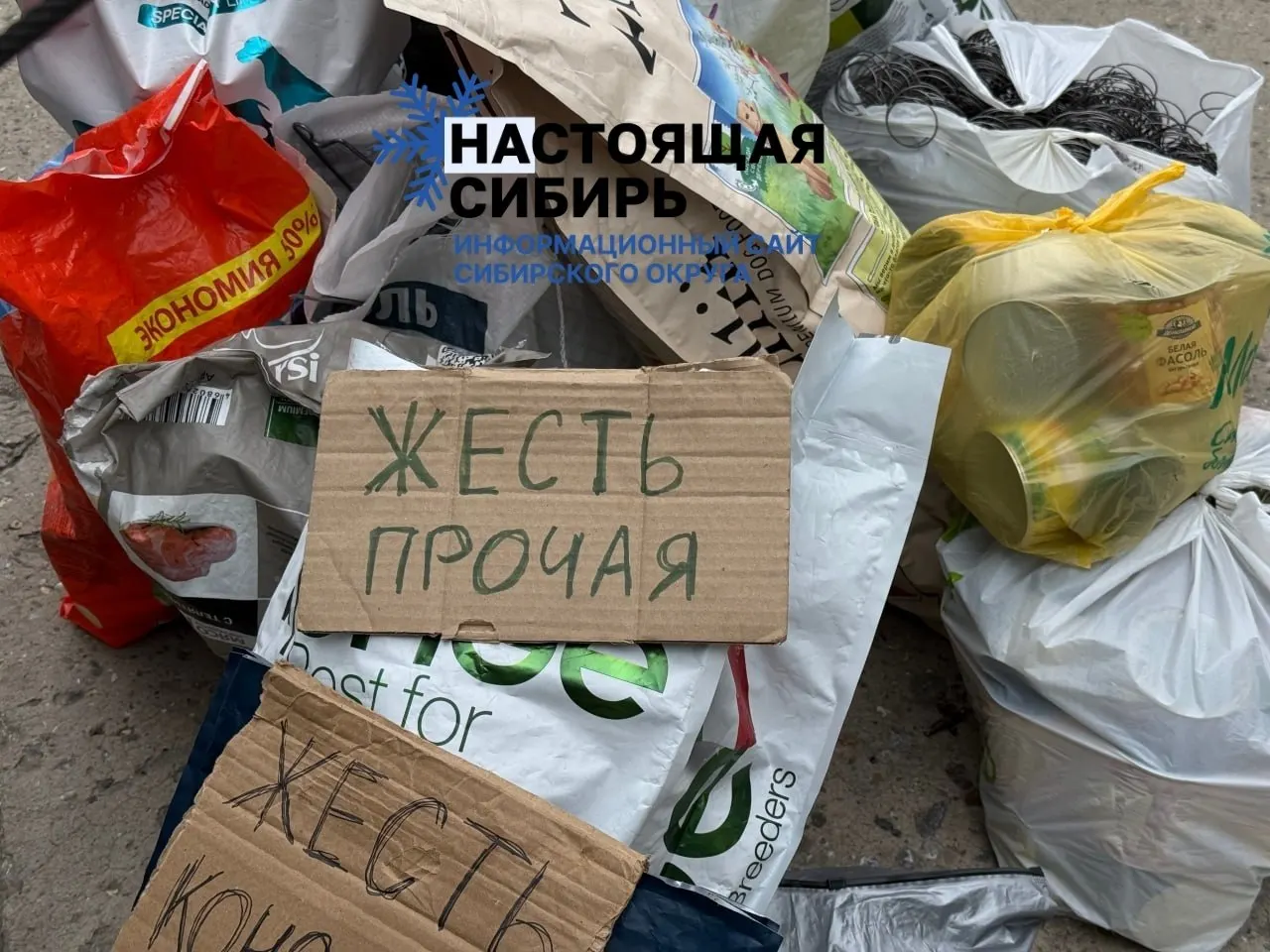 Горожане ведут инициативу по переработке отходов: акция по сбору вторсырья пройдёт в нескольких районах города, нужны волонтёры и кураторы.