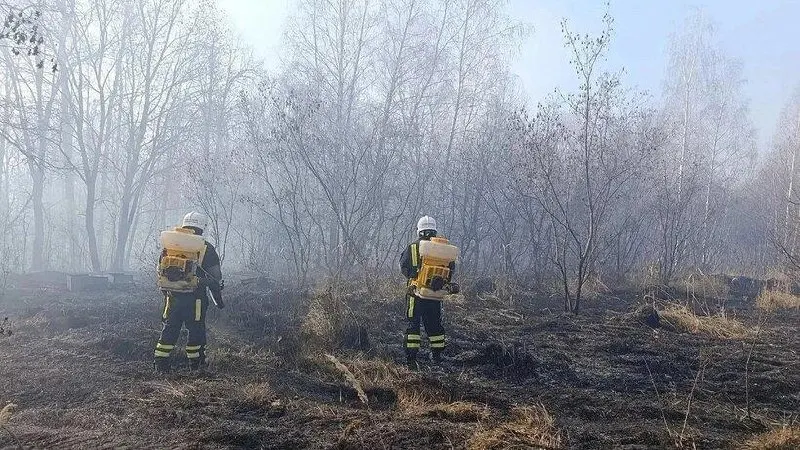 Пожар в лесном массиве памятника природы локализован, дотушивание продолжается. На месте работают подразделения лесничества и пожарной охраны; угрозы населённым пунктам нет.