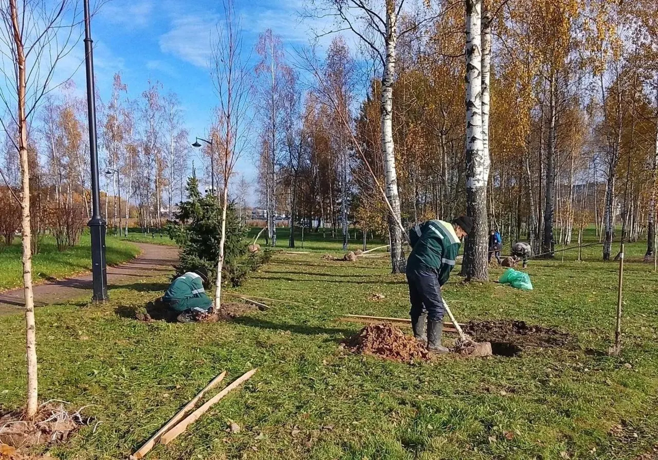 Акция озеленения прошла в парках, скверах и на улицах города.