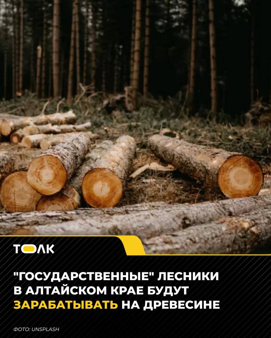 Лесхозы Алтайского края смогут продавать спелую и перестойную древесину; выручку направят на охрану, защиту и восстановление лесов.