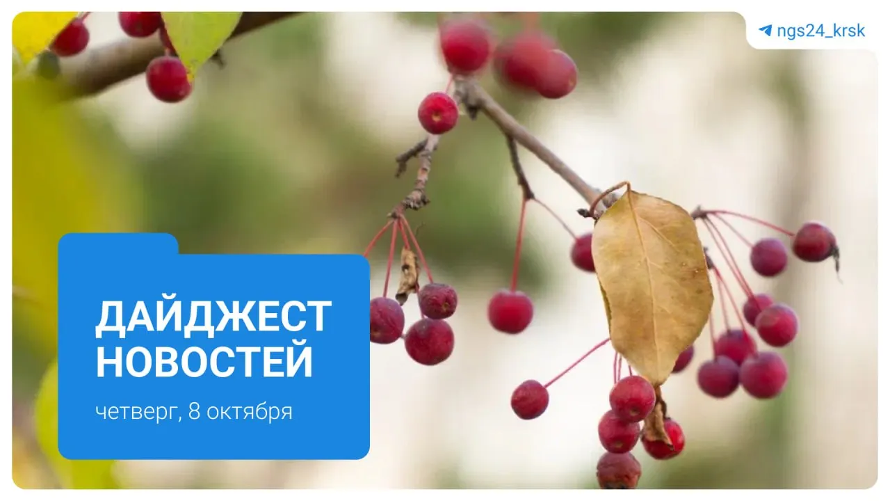 Ключевые новости дня: здравоохранение, политика, экономика и общественные происшествия региона.