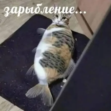 Малые рыбы разных видов помогают поддерживать чистоту водоема: амур, сазан и толстолобик вступают в экосистему.