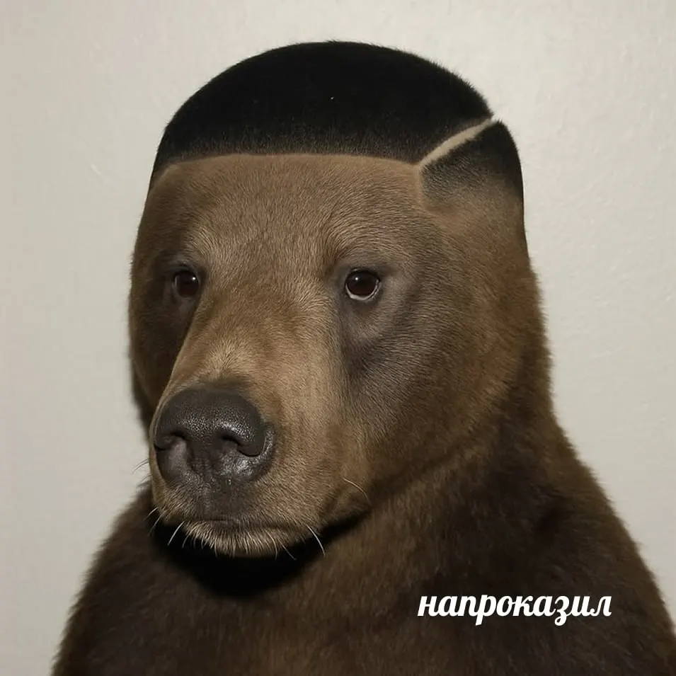 Местные жители фиксируют следы дикой природы рядом с Азово; в регионе сохраняется внимание к окружающей среде и готовность к возможным ситуациям.