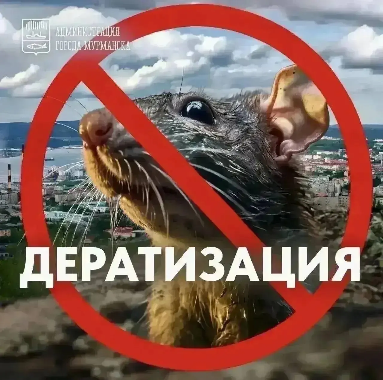 В регионе реализуются профилактические работы по снижению численности вредителей: мероприятия охватывают торговые объекты, общественные места и жилой сектор, с учетом рекомендаций населению.