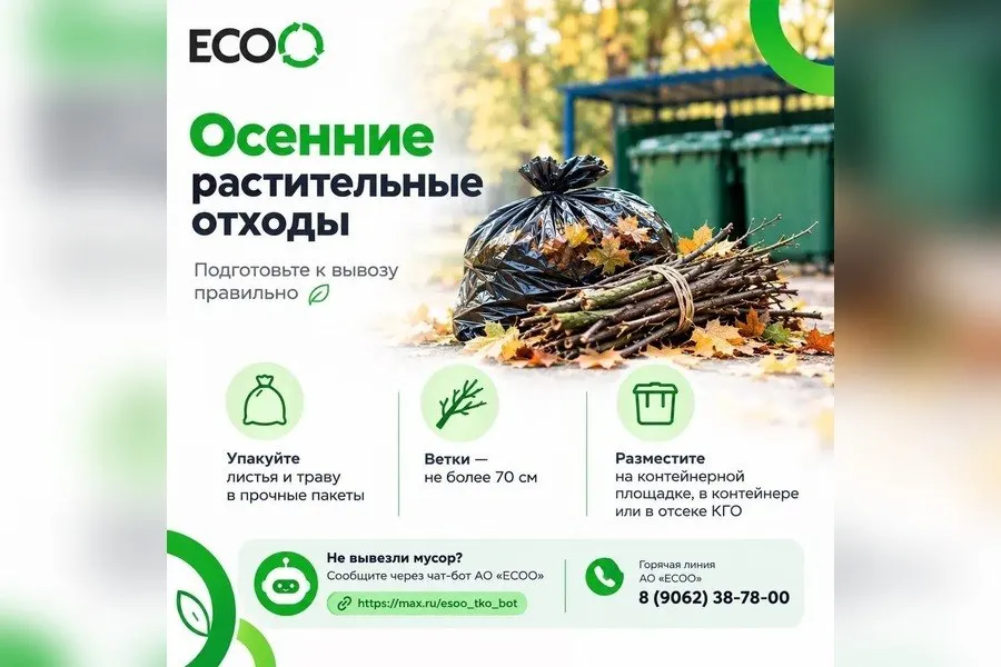 Советы по обращению с сезонными растительными отходами: листья, трава и ветки следует правильно упаковывать и готовить к вывозу.