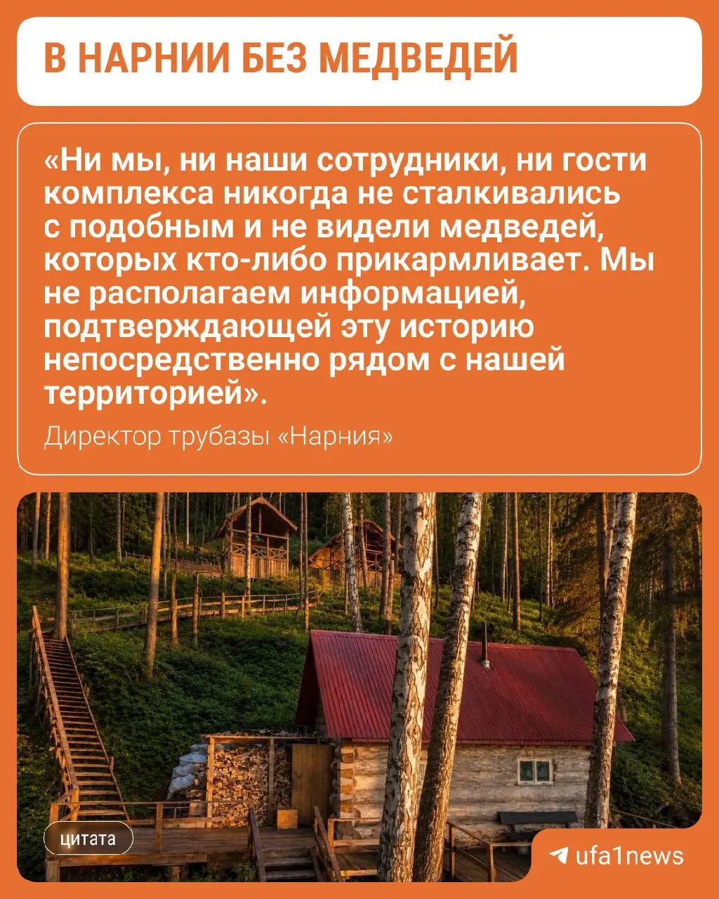 Местные жители сообщили о встрече с медведицею и медвежатами рядом с базой; экологи и власти работают над картой передвижения зверей.
