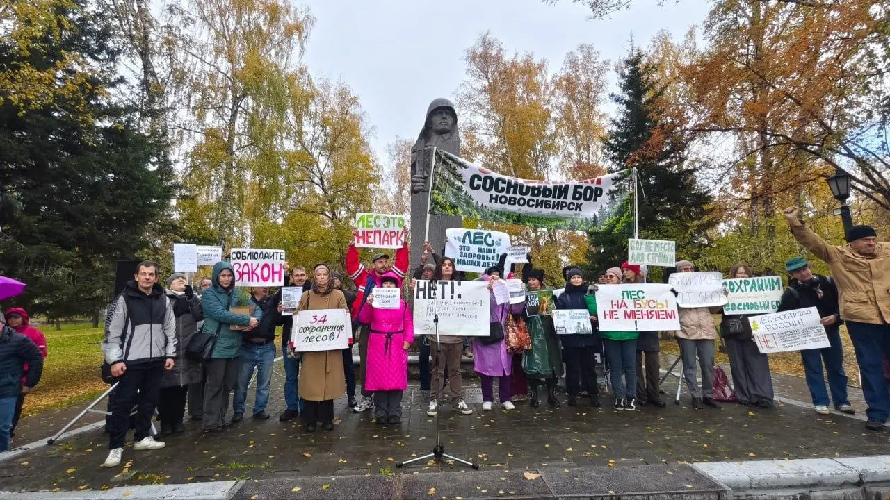 Жители города выступили против вырубки леса и планов застройки на территории Соснового бора, требуя сохранить зеленую зону.