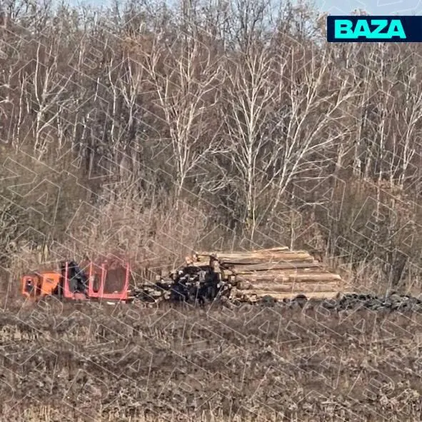 Жители Подмосковья добились отмены запланированного сжигания около 800 голов скота возле деревни Горностаево после протеста местного сообщества.