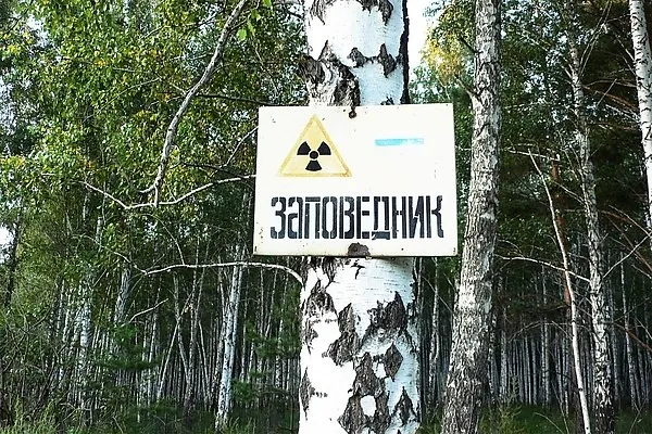 В Челябинской области создан Восточно-Уральский государственный заповедник на территории, ставшей зоной радиационного следа после аварии, там изучают влияние радиации на природу и принимают меры по восстановлению почв.