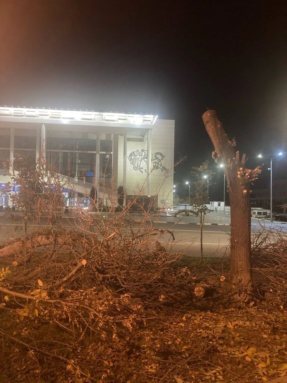 Жители города обеспокоены тем, как вырубают зелёные насаждения в нескольких районах, экология города вызывает тревогу.