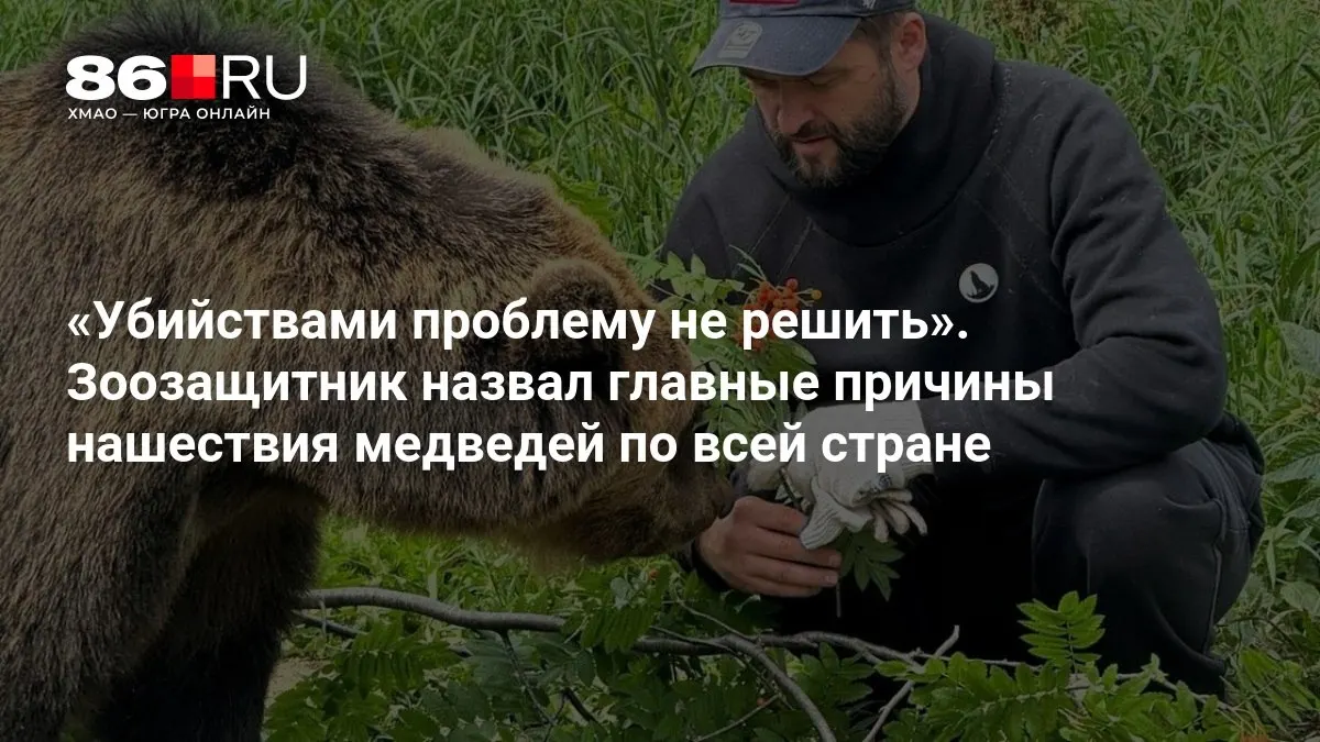 Зоозащитники назвали главные причины роста численности медведей и дали советы, как действовать при встрече с ними.